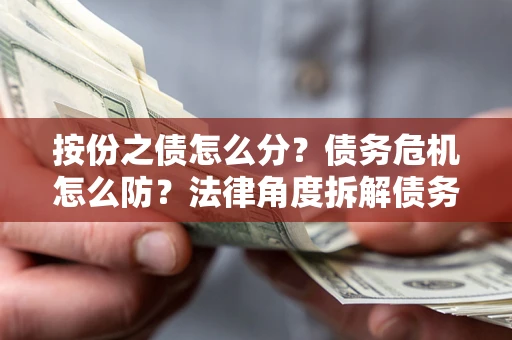 武汉按份之债怎么分？债务危机怎么防？法律角度拆解债务分配与风险自保指南