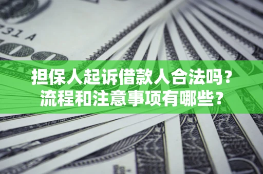 武汉担保人起诉借款人合法吗？流程和注意事项有哪些？
