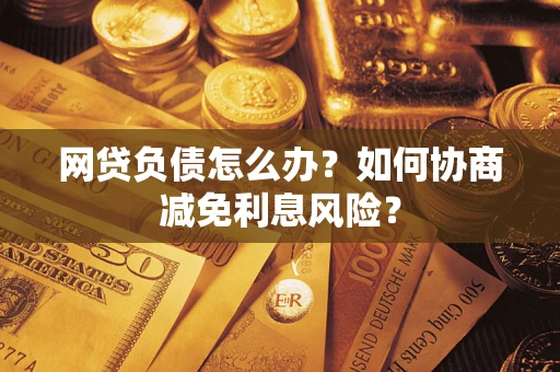 武汉网贷负债怎么办？如何协商减免利息风险？