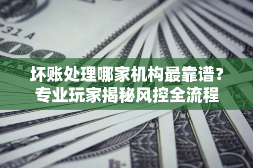 武汉坏账处理哪家机构最靠谱？专业玩家揭秘风控全流程