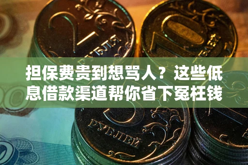 武汉担保费贵到想骂人？这些低息借款渠道帮你省下冤枉钱