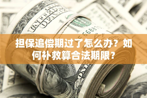 武汉担保追偿期过了怎么办？如何补救算合法期限？