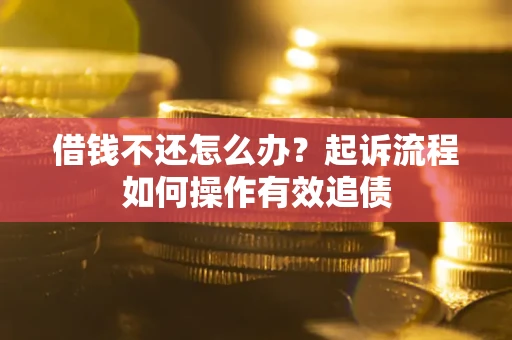 武汉借钱不还怎么办？起诉流程如何操作有效追债