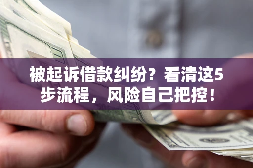 武汉被起诉借款纠纷？看清这5步流程，风险自己把控！