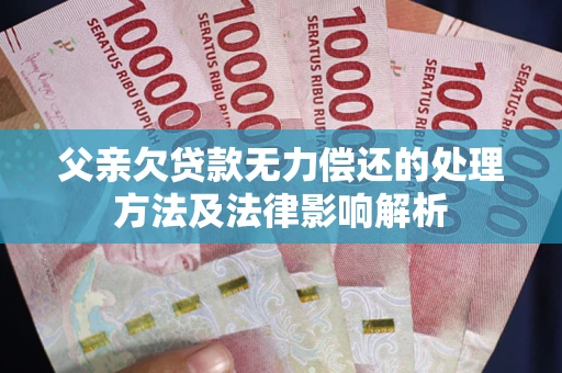 武汉父亲欠贷款无力偿还的处理方法及法律影响解析