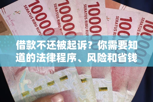 武汉借款不还被起诉？你需要知道的法律程序、风险和省钱技巧