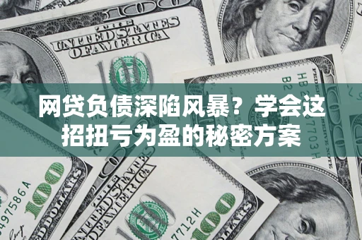 武汉网贷负债深陷风暴？学会这招扭亏为盈的秘密方案