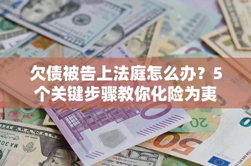 武汉欠债被告上法庭怎么办？5个关键步骤教你化险为夷